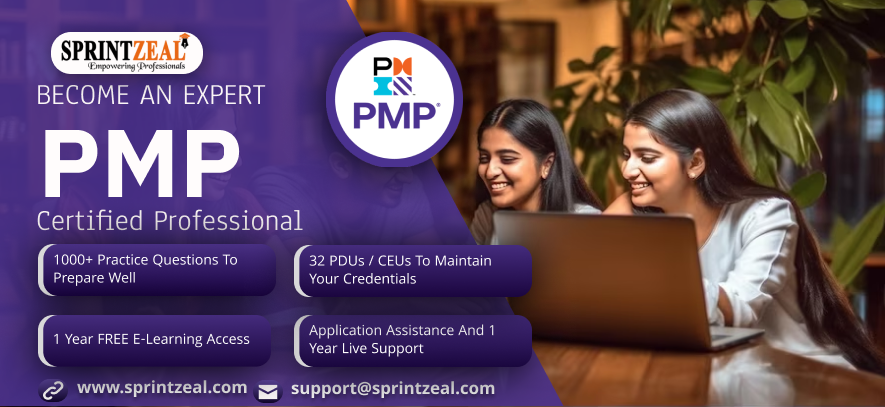 Private: pmp.png